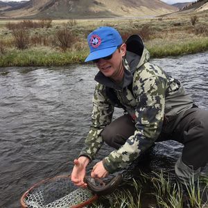 Meet your Posher, Kevin